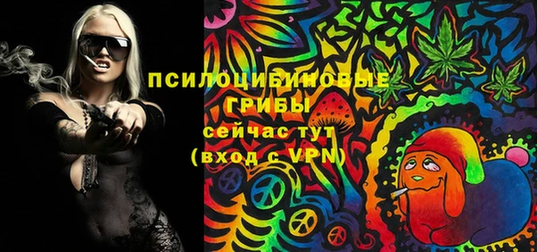 герыч Алексин