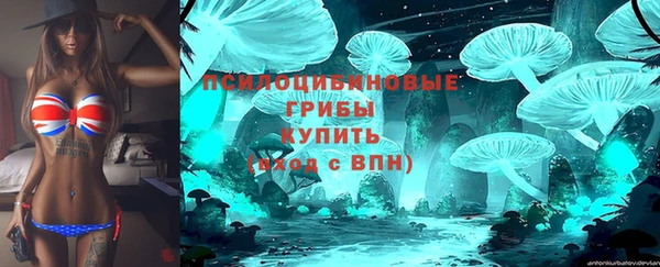 крисы Алзамай