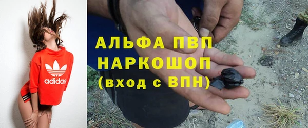 крисы Алзамай