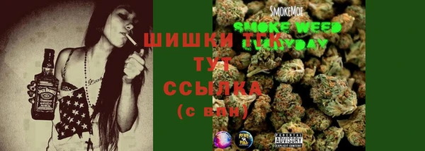 крисы Алзамай
